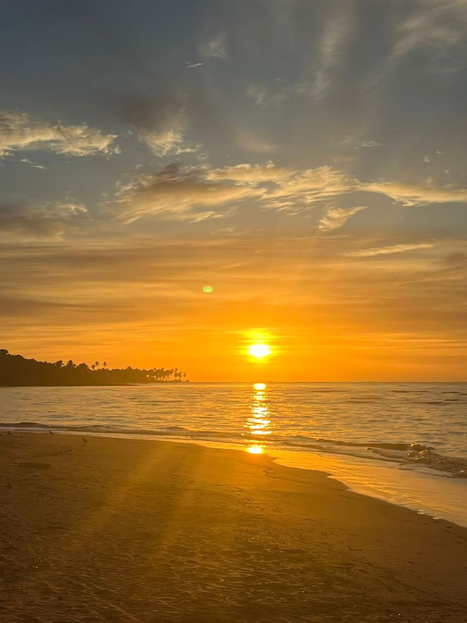 Amanhecer dourado na praia